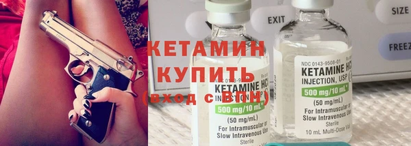 прущие грибы Аркадак