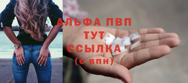 прущие грибы Аркадак