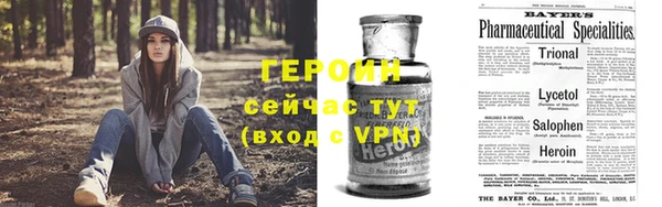 прущие грибы Аркадак