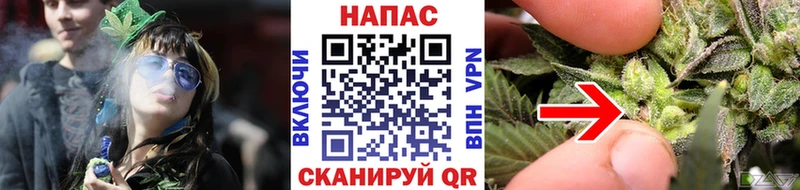 Каннабис конопля  Волгодонск 